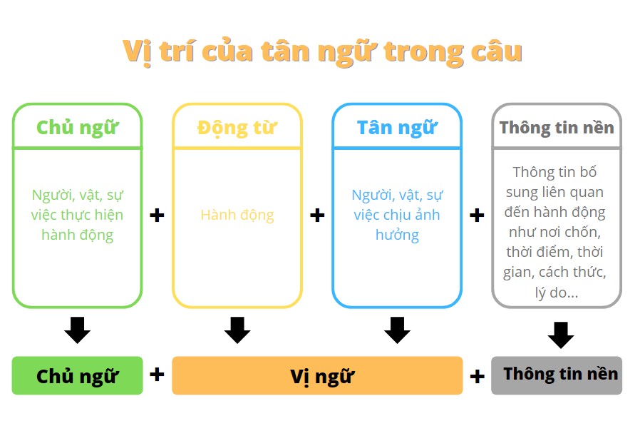 Vị trí của tân ngữ trong câu
