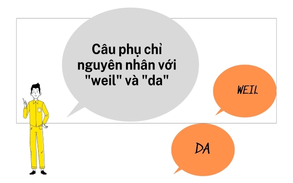 Câu có mệnh đề phụ trong tiếng Đức