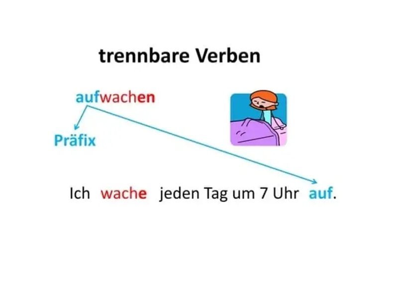 Phân biệt và sử dụng đúng động từ tách và không tách trong tiếng Đức